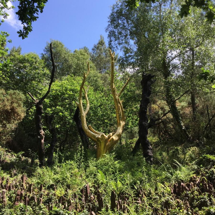 L'Hotie De Broceliande, Au Coeur Des Sites Naturels Et Legendaires Paimpont Exterior foto