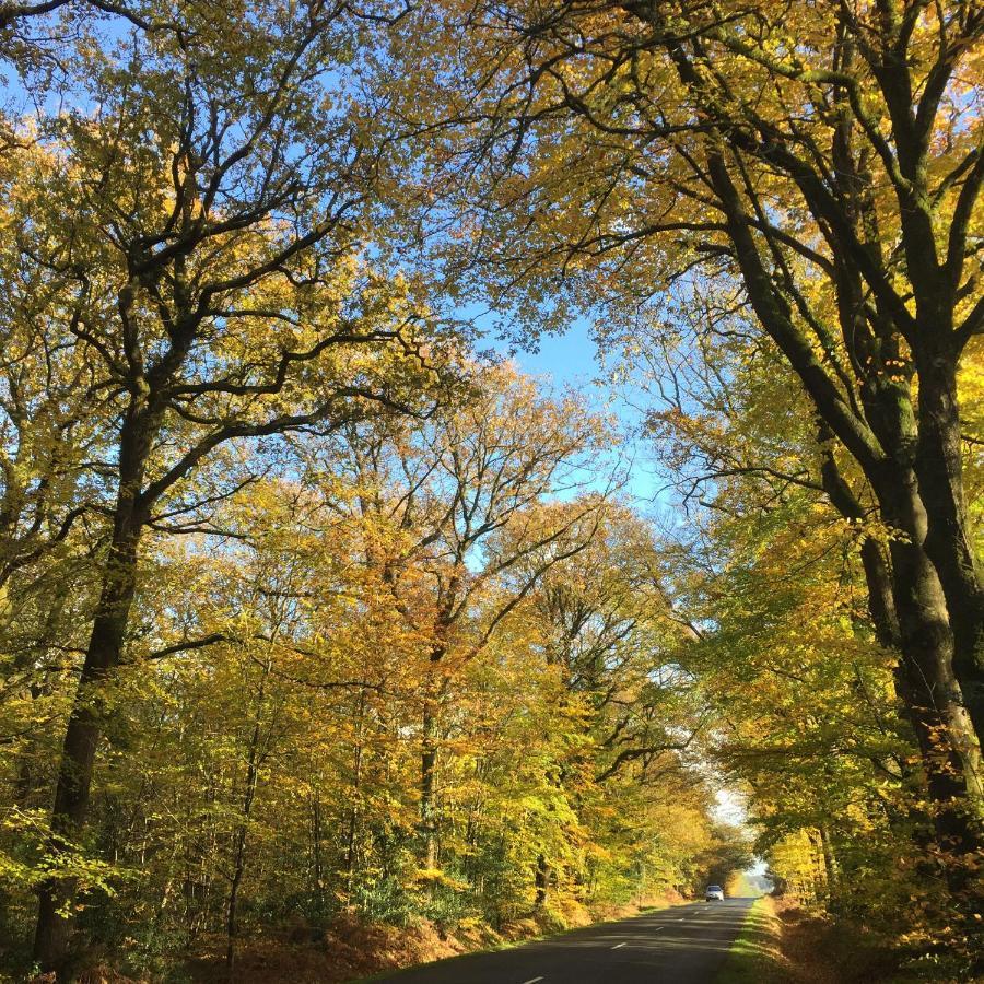 L'Hotie De Broceliande, Au Coeur Des Sites Naturels Et Legendaires Paimpont Exterior foto