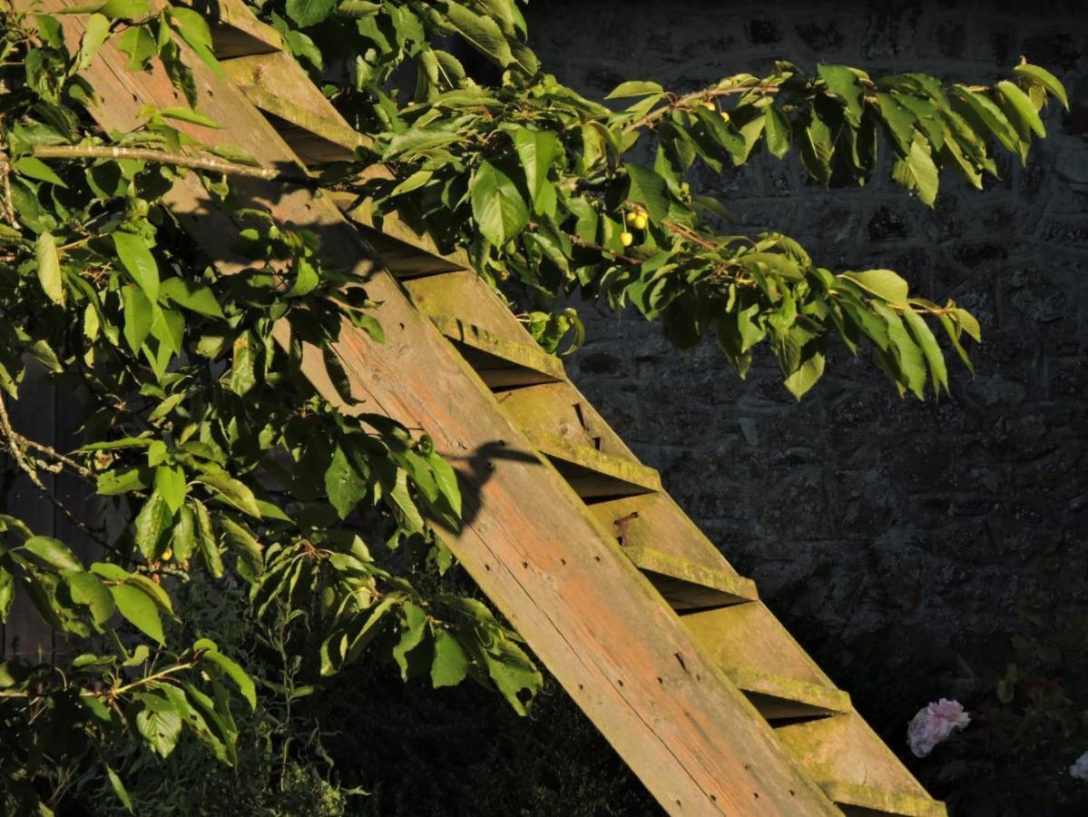 L'Hotie De Broceliande, Au Coeur Des Sites Naturels Et Legendaires Paimpont Exterior foto