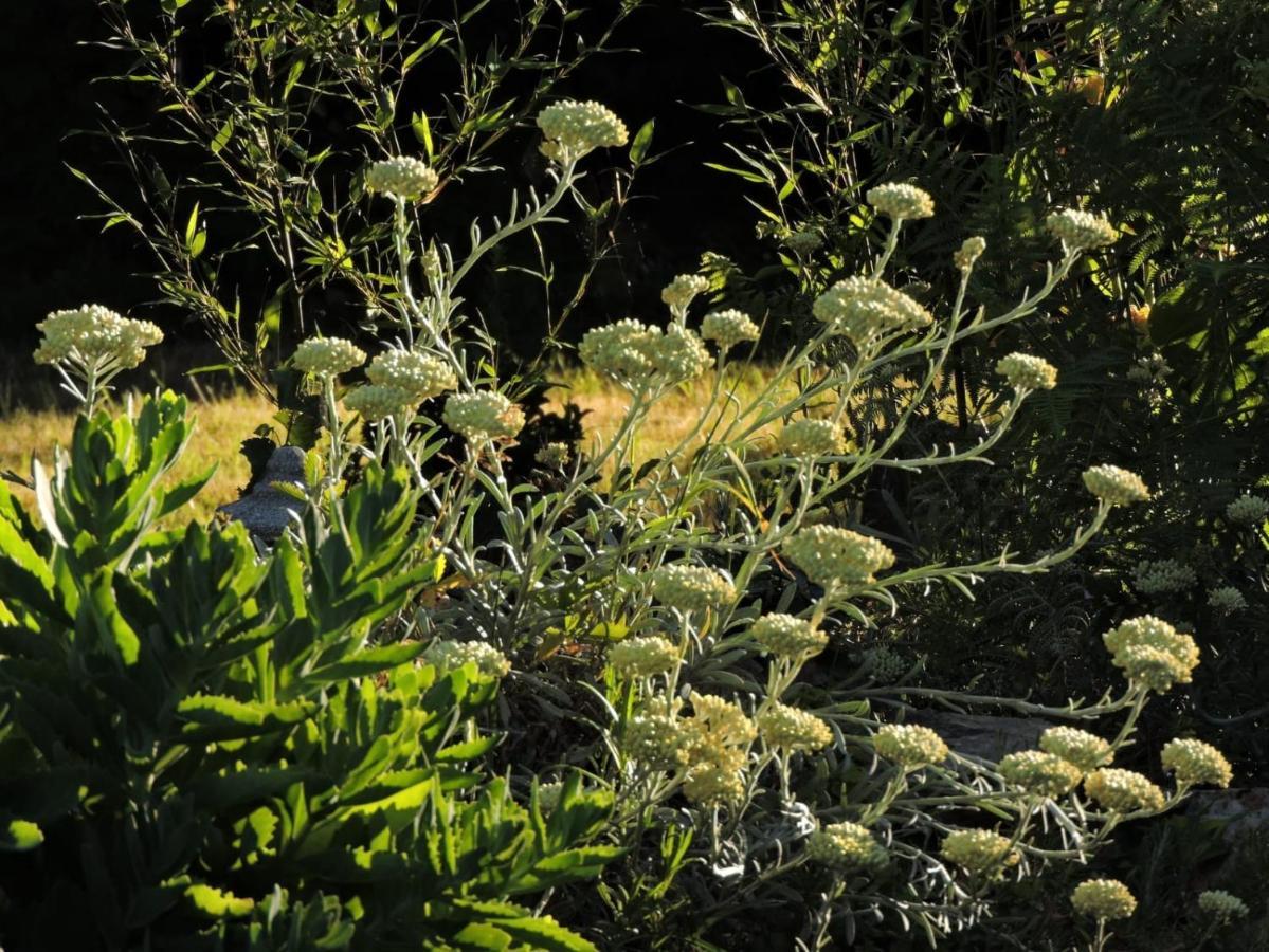 L'Hotie De Broceliande, Au Coeur Des Sites Naturels Et Legendaires Paimpont Exterior foto