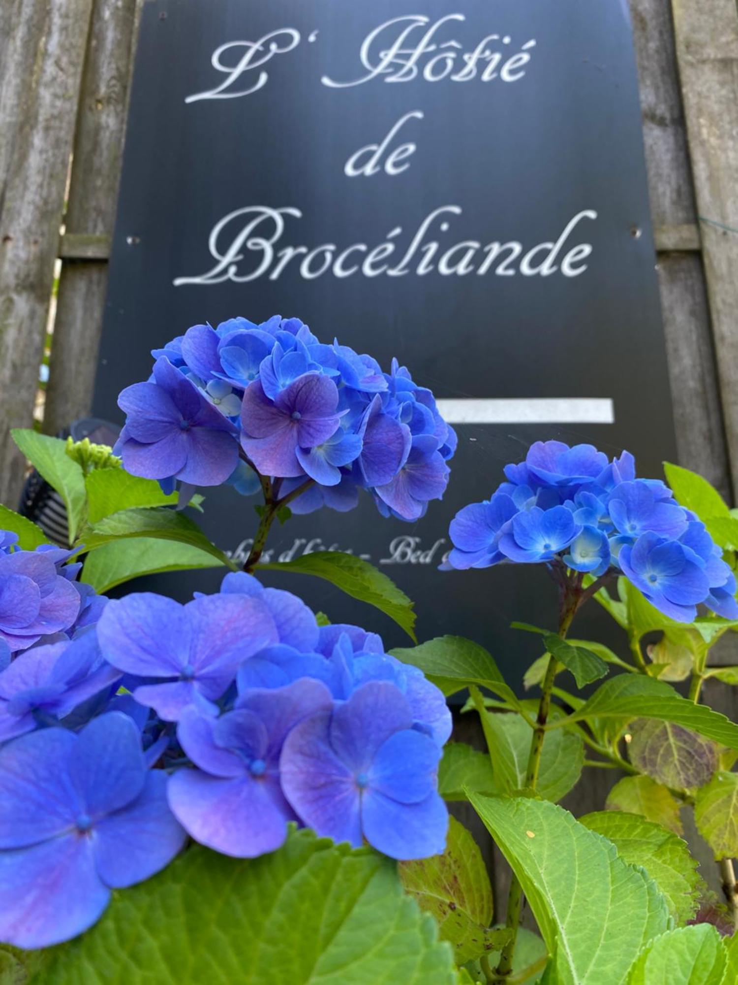L'Hotie De Broceliande, Au Coeur Des Sites Naturels Et Legendaires Paimpont Exterior foto