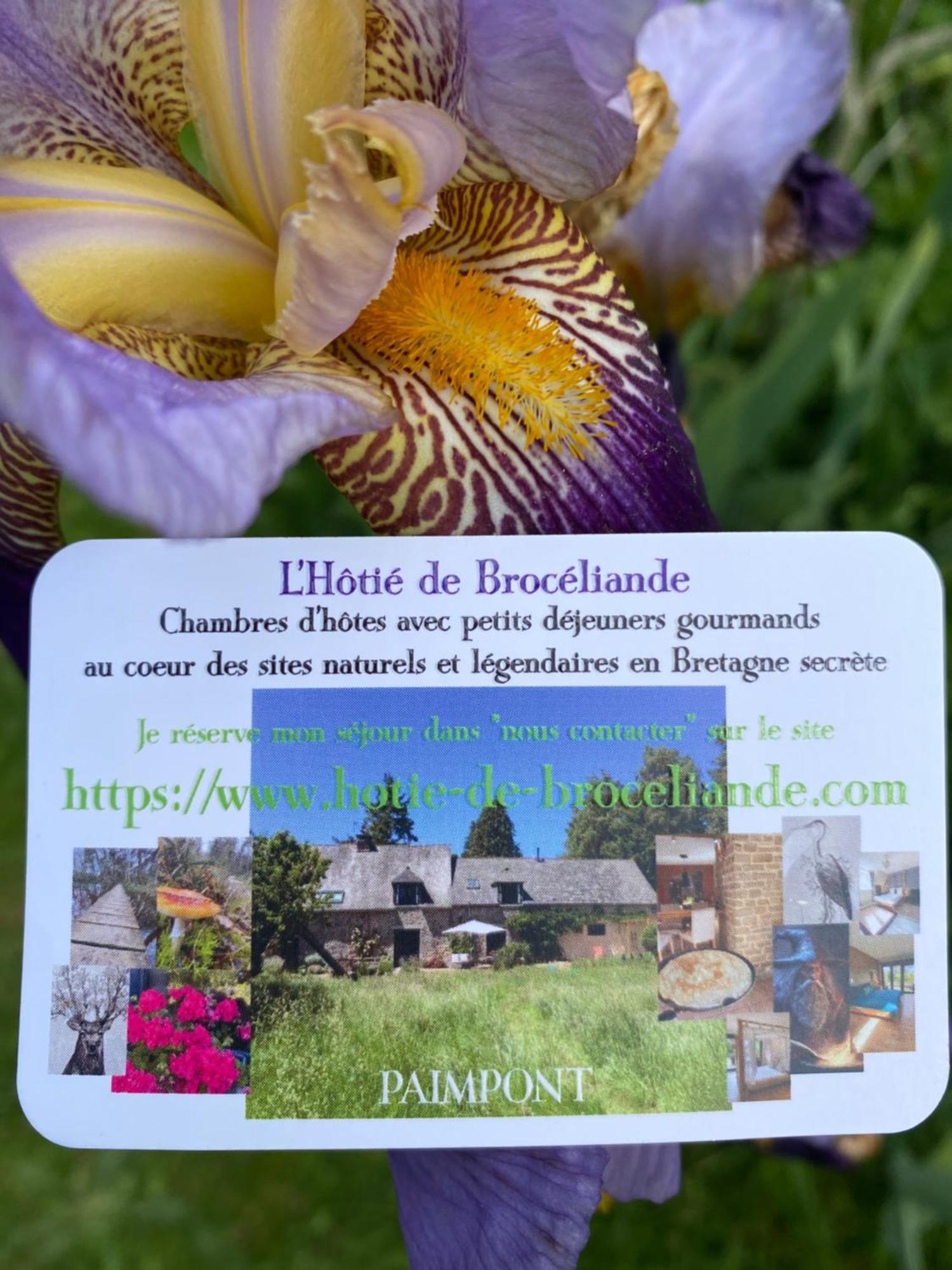L'Hotie De Broceliande, Au Coeur Des Sites Naturels Et Legendaires Paimpont Exterior foto